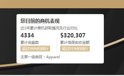 国际站成就 (4)