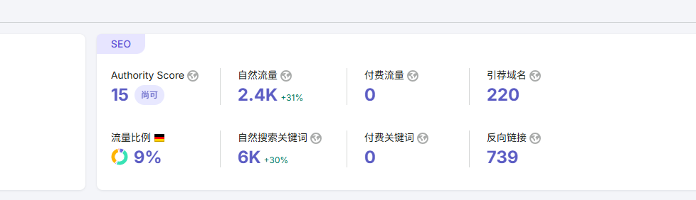 独立站成果 (2)